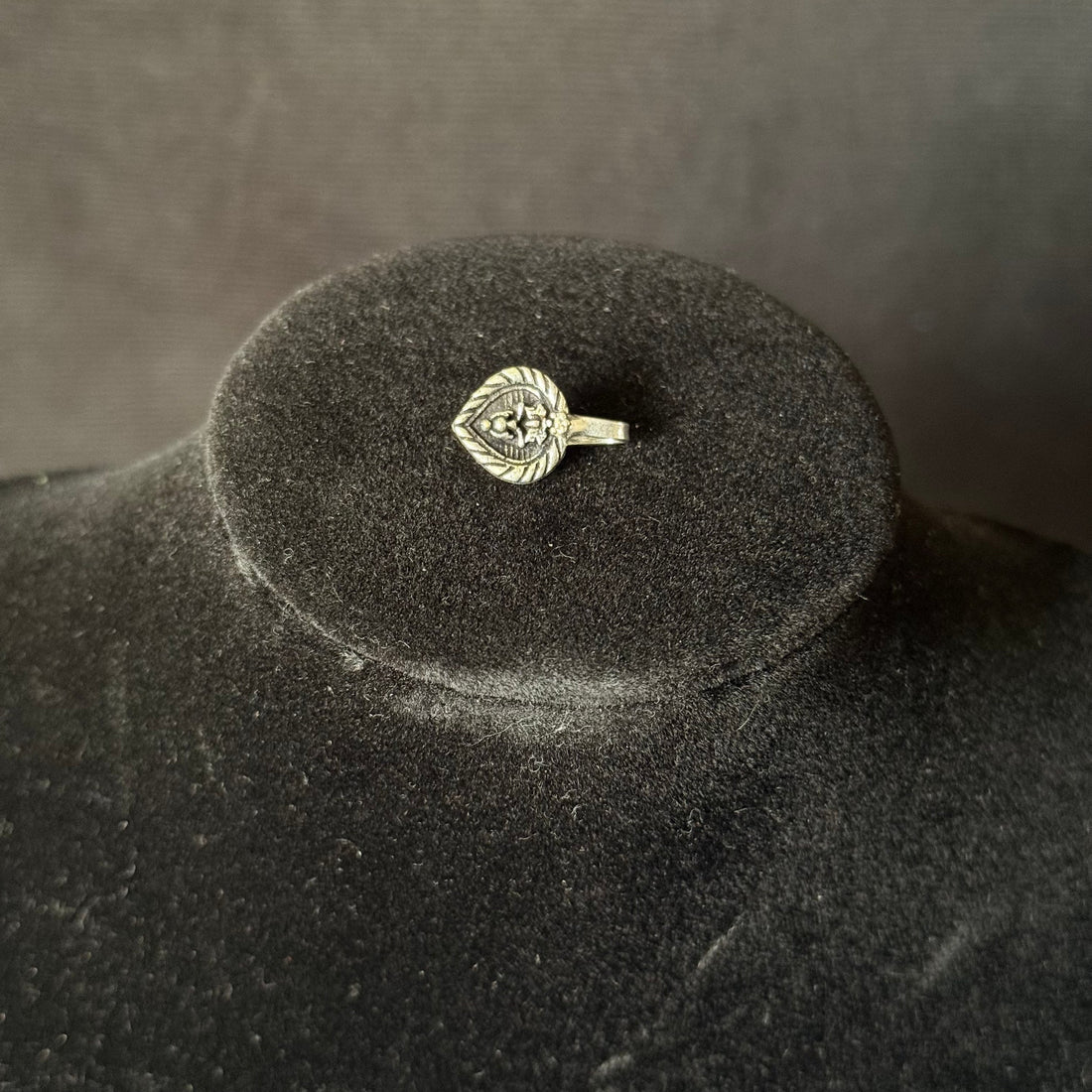 Anti Nose Rings – Clip-On Nose & Ear Cuffs