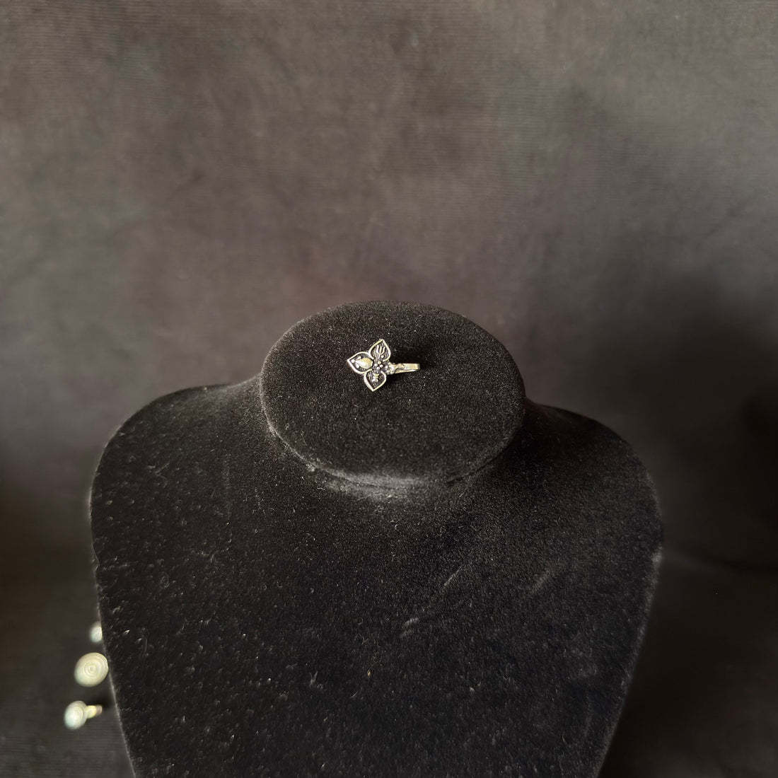 Anti Nose Rings – Clip-On Nose & Ear Cuffs