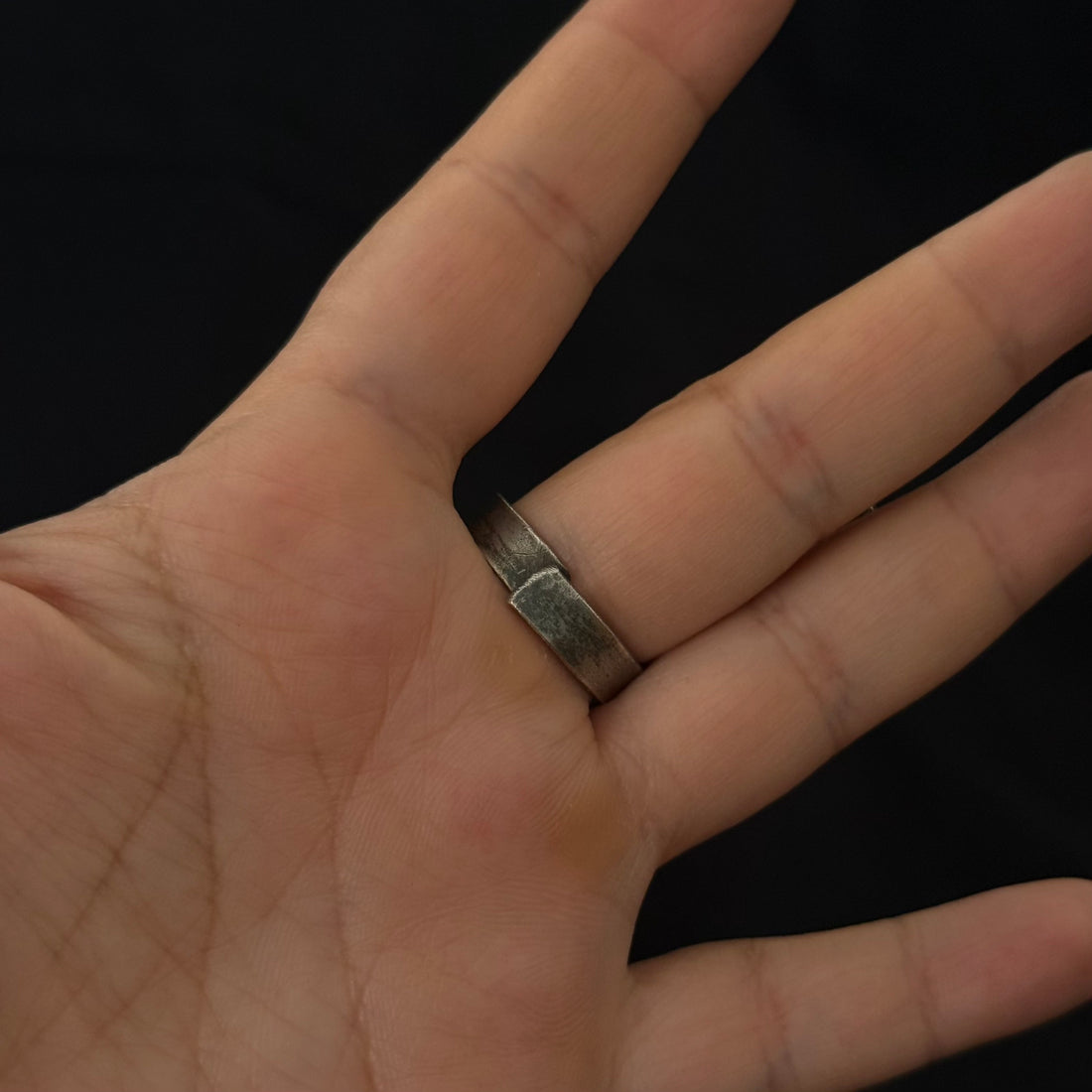 Fish Ring