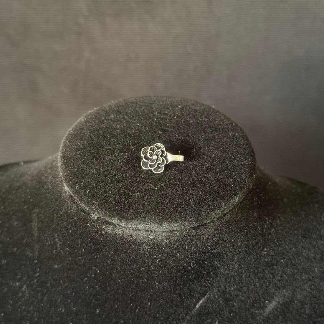 Anti Nose Rings – Clip-On Nose & Ear Cuffs